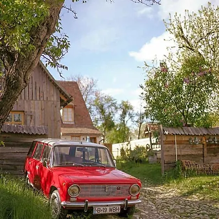Отель Viscri 32 - White Barn And Blue House *
