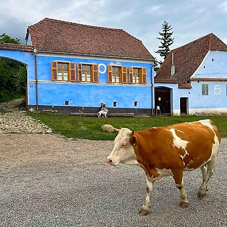 Viscri 32 - White Barn And Blue House Отель *