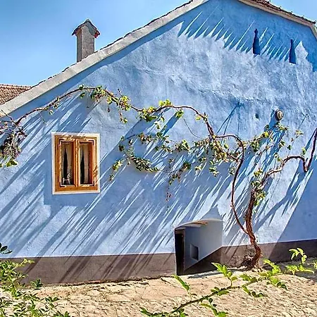 Отель Viscri 32 - White Barn And Blue House Брашов
