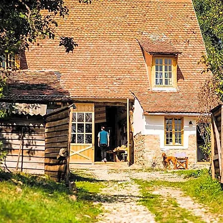 Отель Viscri 32 - White Barn And Blue House